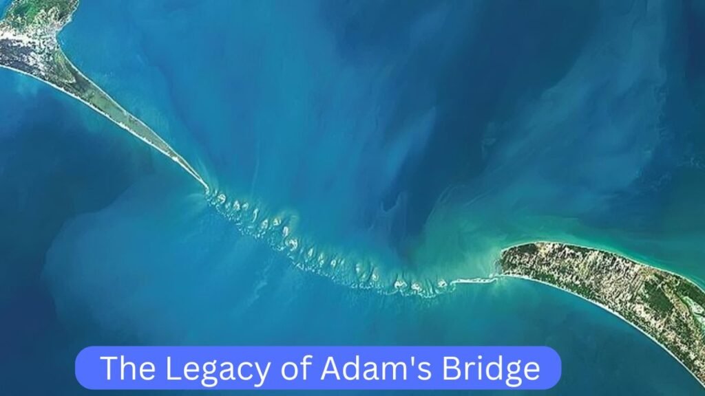 The Legacy of Adam's Bridge